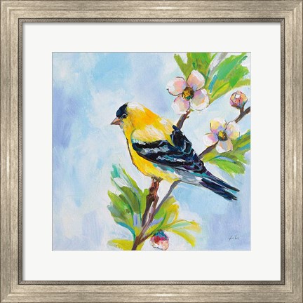 Framed Golden Finch Print