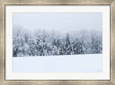 Framed Snowshoe Hill Print