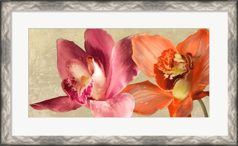Framed Two Orchids Print