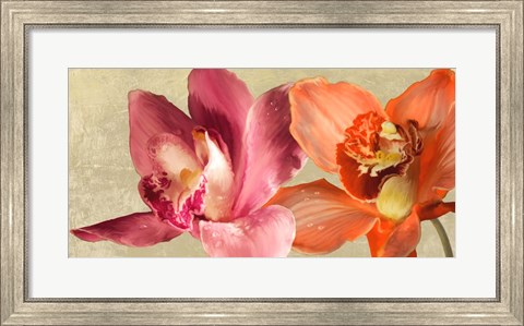 Framed Two Orchids Print