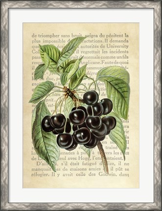 Framed Cherries, After J. Wright Print