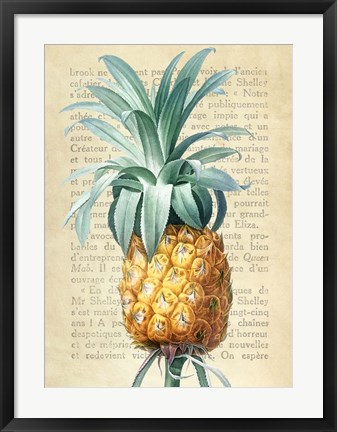 Framed Pineapple, After Redoute Print