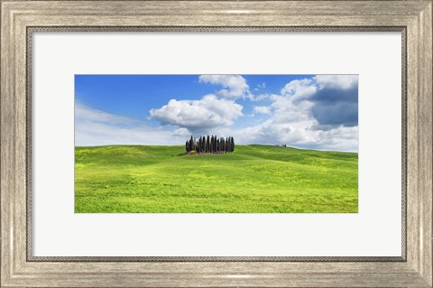Framed Cypresses, Val d&#39;Orcia, Tuscany (detail) Print