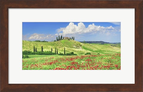 Framed Farmhouse with Cypresses and Poppies, Val d&#39;Orcia, Tuscany Print