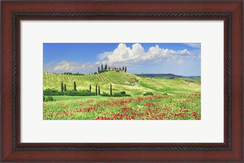 Framed Farmhouse with Cypresses and Poppies, Val d&#39;Orcia, Tuscany Print