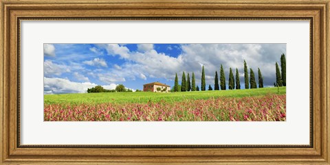 Framed Landscape with cypress alley and sainfoins, San Quirico d&#39;Orcia, Tuscany Print