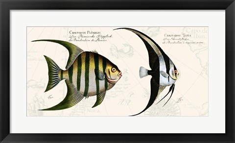 Framed Tropical fish II,  After Bloch Print