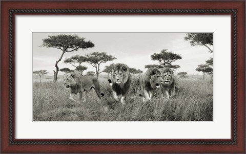 Framed Brothers, Masai Mara, Kenya (detail) Print