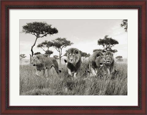 Framed Brothers, Masai Mara, Kenya Print