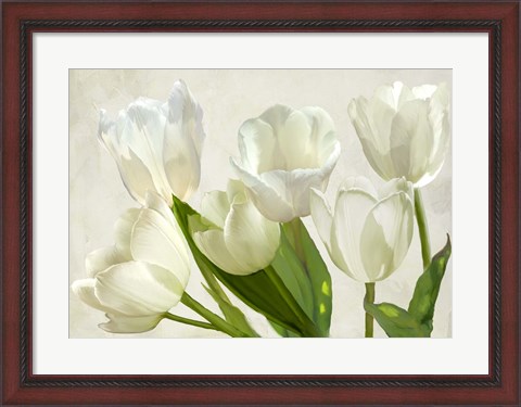 Framed White Tulips Print