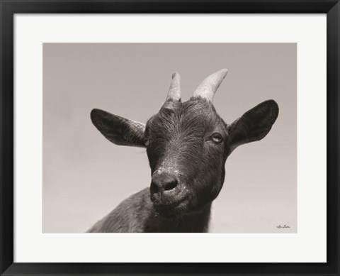 Framed Lake Tobias Goat I Print