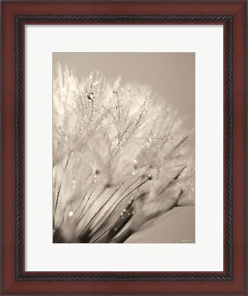 Framed Dandelion Jewels I Print
