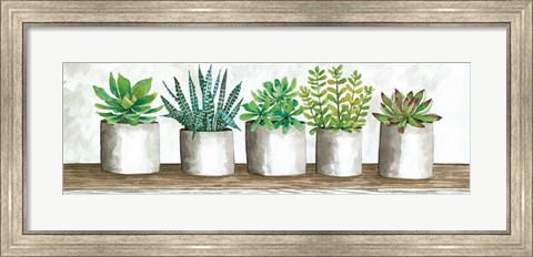 Framed Succulent Pots Print