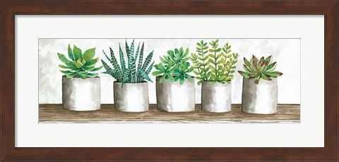 Framed Succulent Pots Print