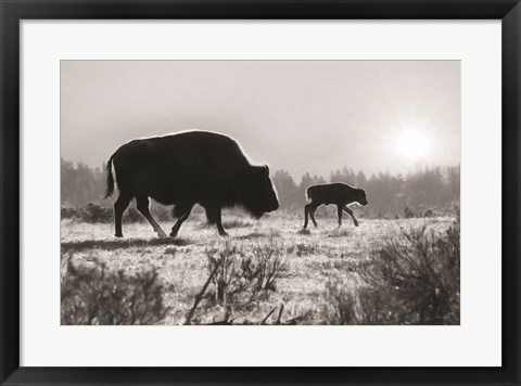 Framed Lamar Valley Migration Print