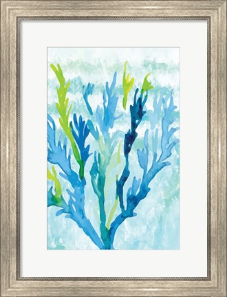 Framed Coral Print