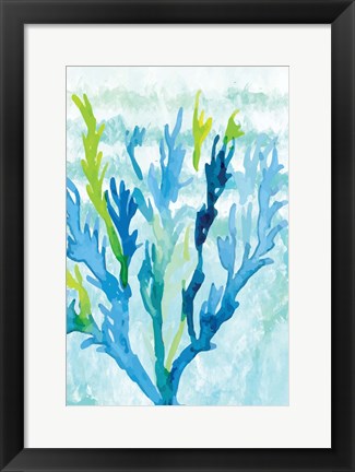 Framed Coral Print