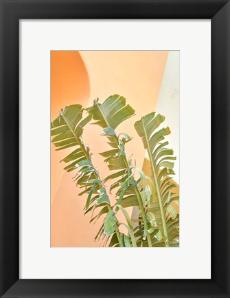 Framed Tropical Dream II Print