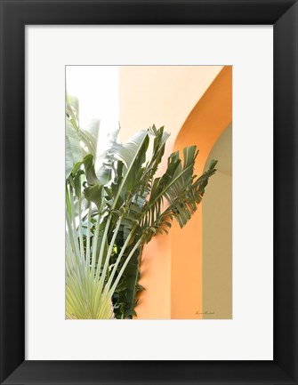 Framed Tropical Dream V Print