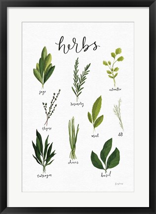 Framed Herbs I White Print