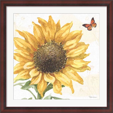 Framed Sunflower Splendor IX Print