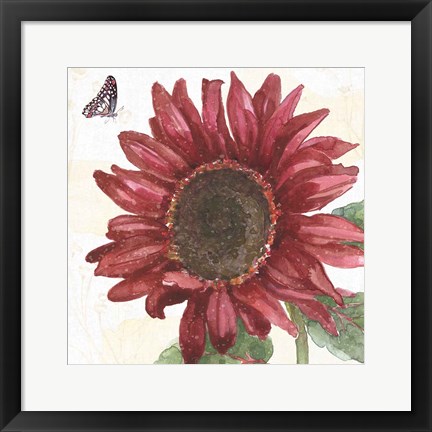 Framed Sunflower Splendor X Print