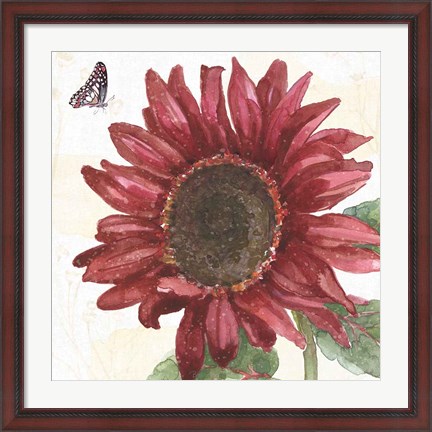 Framed Sunflower Splendor X Print