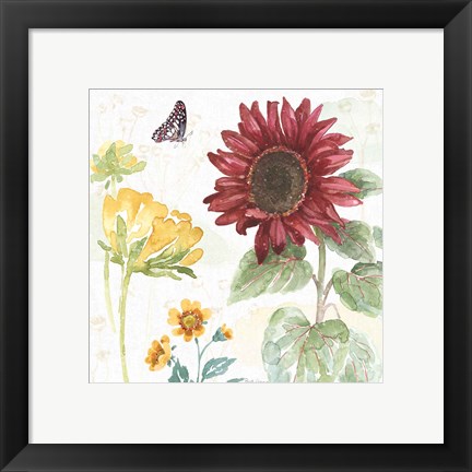 Framed Sunflower Splendor VI Print