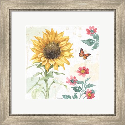 Framed Sunflower Splendor V Print