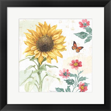 Framed Sunflower Splendor V Print