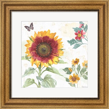 Framed Sunflower Splendor VII Print