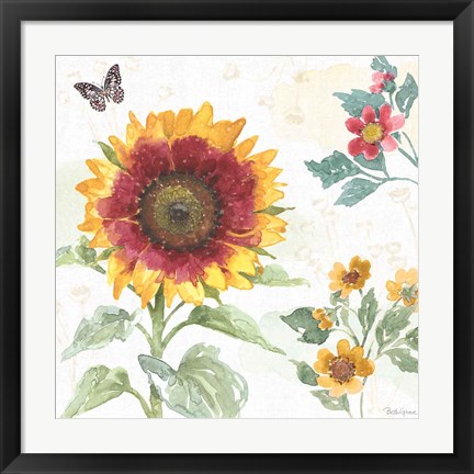 Framed Sunflower Splendor VII Print