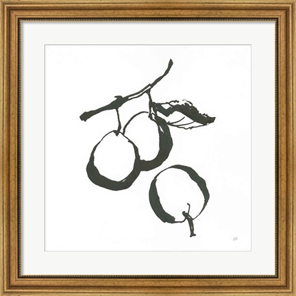 Framed Plums II BW Print