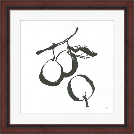 Framed Plums II BW Print