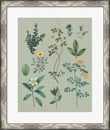 Framed Victorian Garden V Print