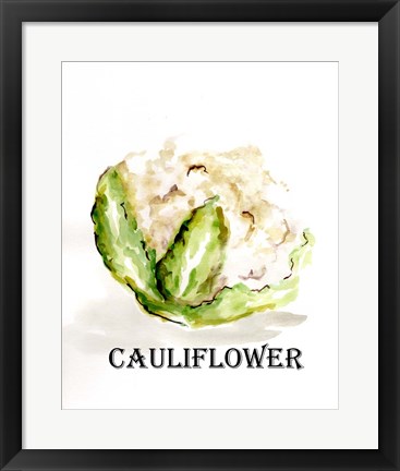 Framed Veggie Sketch VI-Cauliflower Print