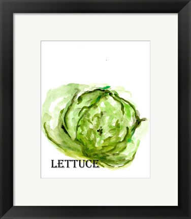 Framed Veggie Sketch IX-Lettuce Print