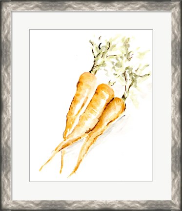 Framed Veggie Sketch plain V-Carrots Print
