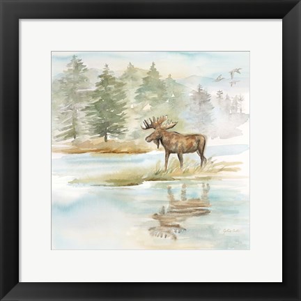 Framed Woodland Reflections II-Moose Print