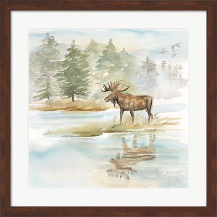 Framed Woodland Reflections II-Moose Print