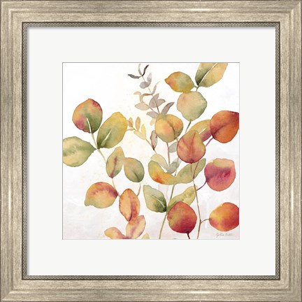 Framed Eucalyptus Leaves Spice I Print