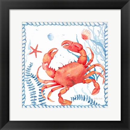 Framed Nautical Sea Life I-Crab Print