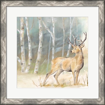 Framed Woodland Reflections III-Deer Print