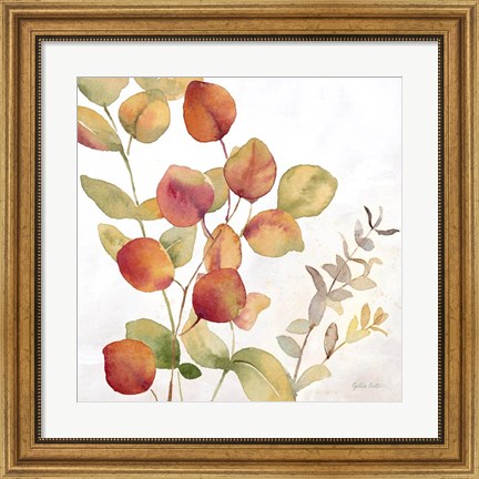 Framed Eucalyptus Leaves Spice II Print