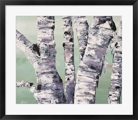 Framed Birch Tree Close Up II Print