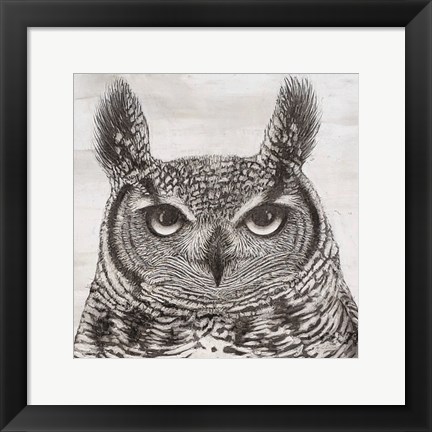 Framed Portrait of an Owl Print