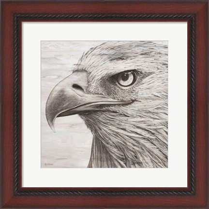 Framed Portrait of an Eagle Print
