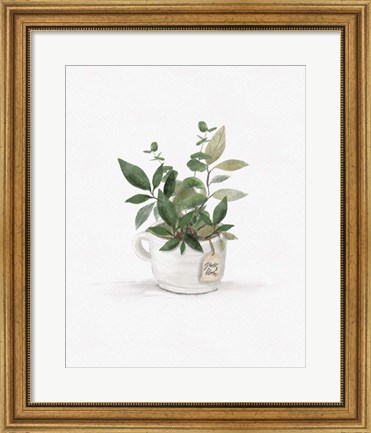 Framed Botanical Mug I Print