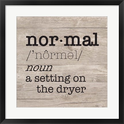 Framed Laundry Room Humor II-Normal Print