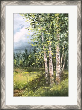 Framed Colorado Meadow panel II Print